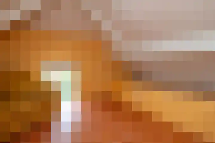 Prins Willem Alexanderlaan 24 't Harde thumbnail 42