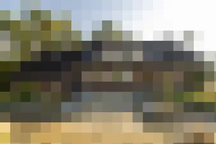 Prins Willem Alexanderlaan 24 't Harde thumbnail 45