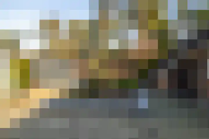 Prins Willem Alexanderlaan 24 't Harde thumbnail 46