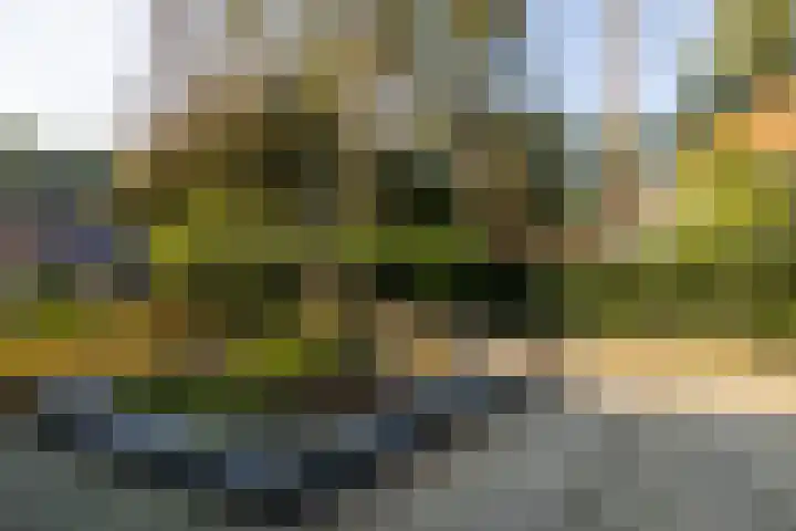 Prins Willem Alexanderlaan 24 't Harde thumbnail 47