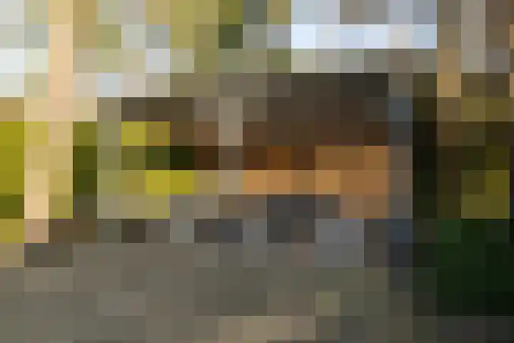 Prins Willem Alexanderlaan 24 't Harde thumbnail 49