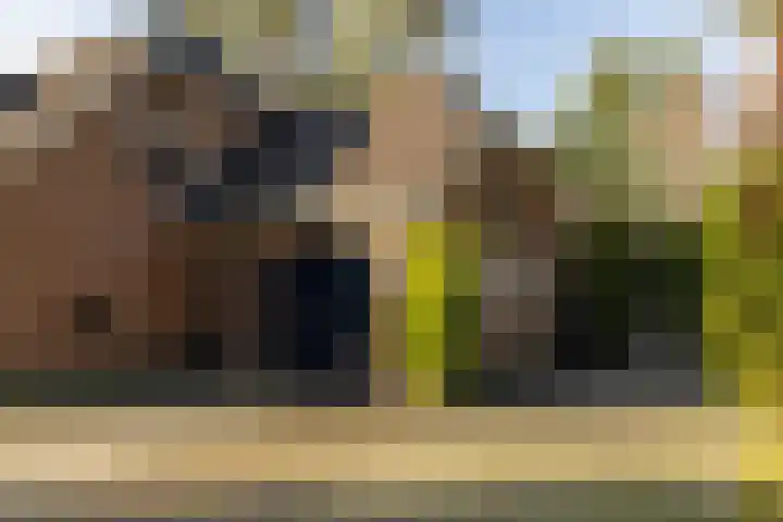 Prins Willem Alexanderlaan 24 't Harde thumbnail 7