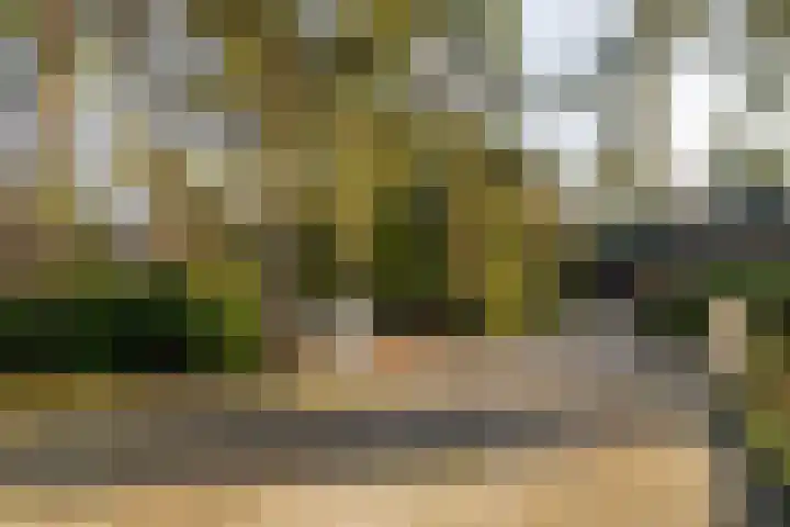 Prins Willem Alexanderlaan 24 't Harde thumbnail 8