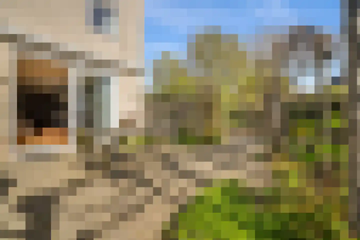 Prins Willem-Alexanderlaan 27 Badhoevedorp thumbnail 37