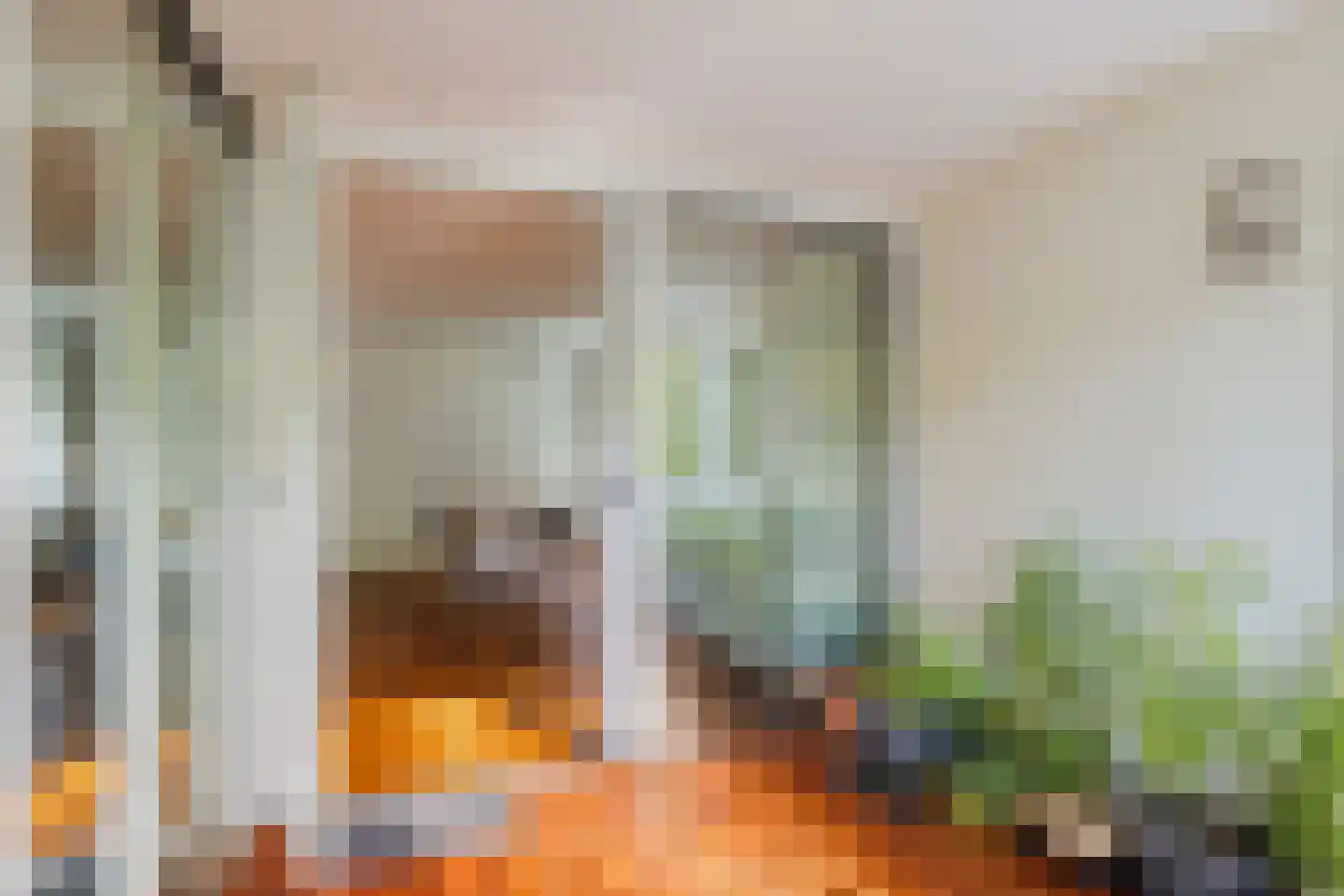 Prins Willem-Alexanderlaan 54 Amersfoort thumbnail 30