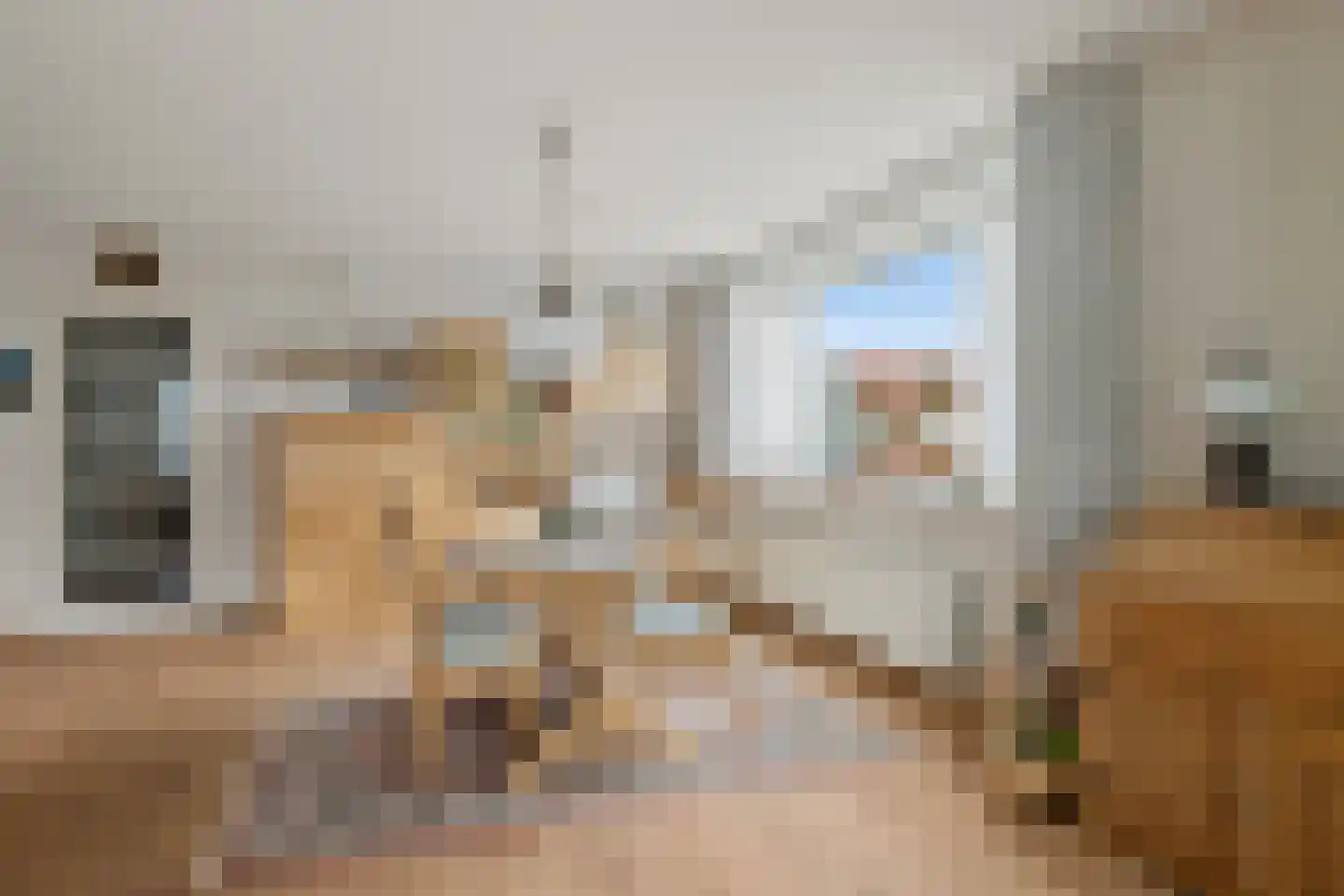 Prins Willem-Alexanderlaan 78 Amersfoort thumbnail 18