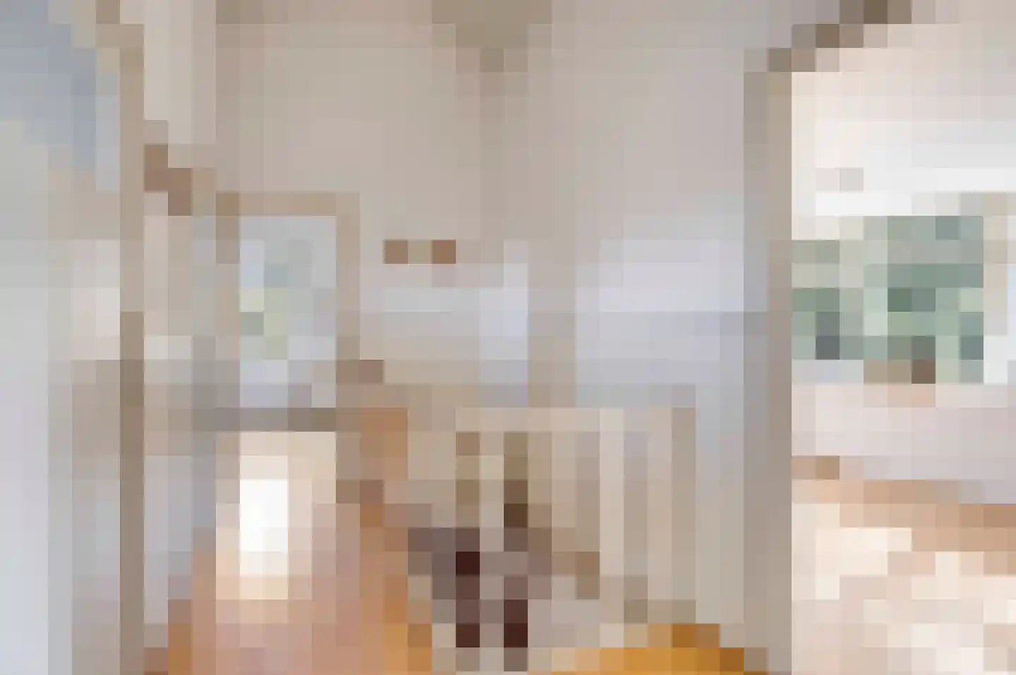 Prins Willem Alexanderlaan 8 't Harde thumbnail 33
