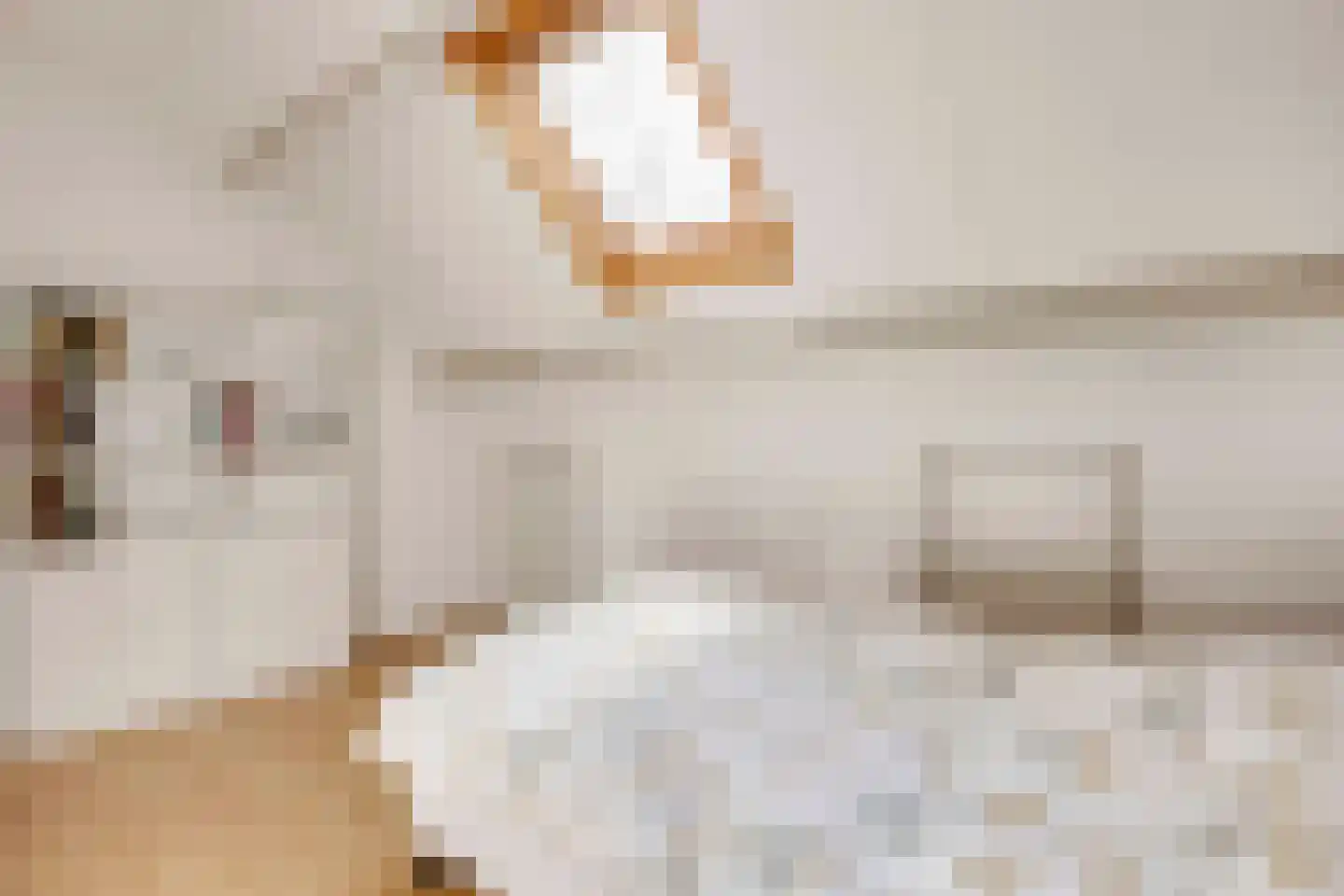 Prins Willem Alexanderlaan 8 't Harde thumbnail 38