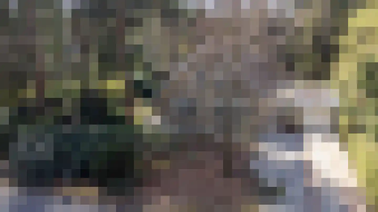 Prins Willem Alexanderlaan 8 't Harde thumbnail 4