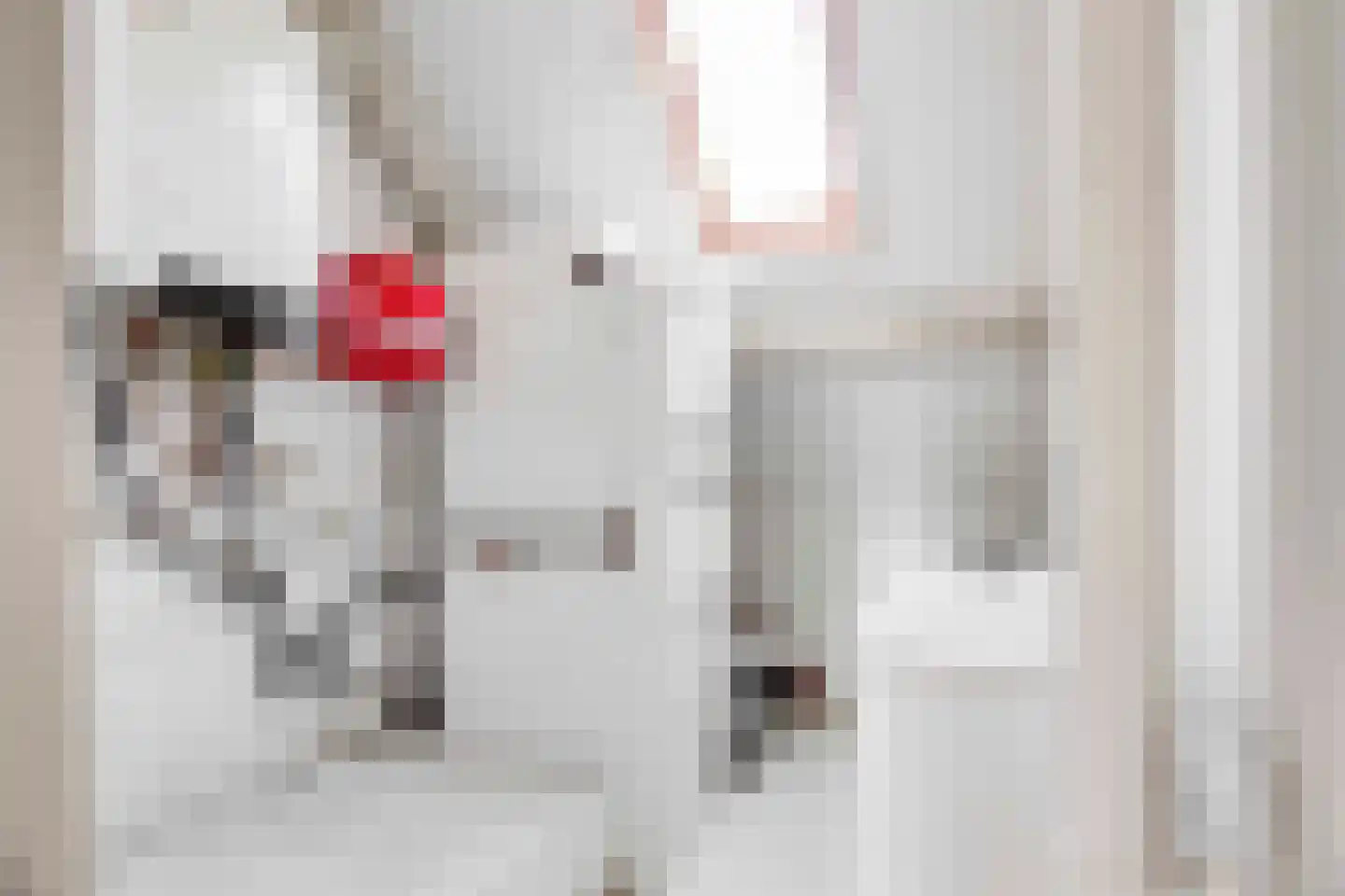 Prins Willem Alexanderlaan 8 't Harde thumbnail 41