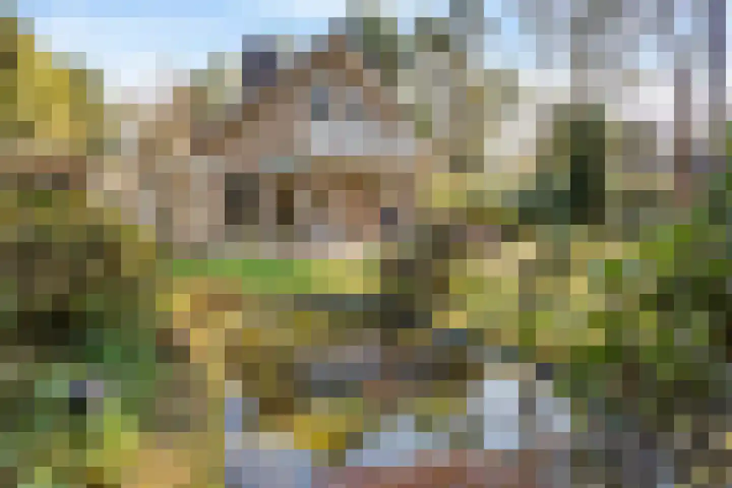 Prins Willem Alexanderlaan 8 't Harde thumbnail 44