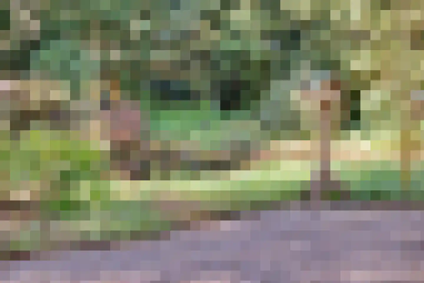 Prins Willem Alexanderlaan 8 't Harde thumbnail 49
