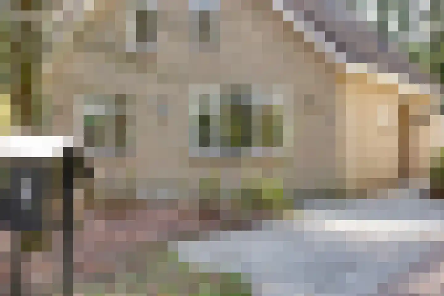 Prins Willem Alexanderlaan 8 't Harde thumbnail 5