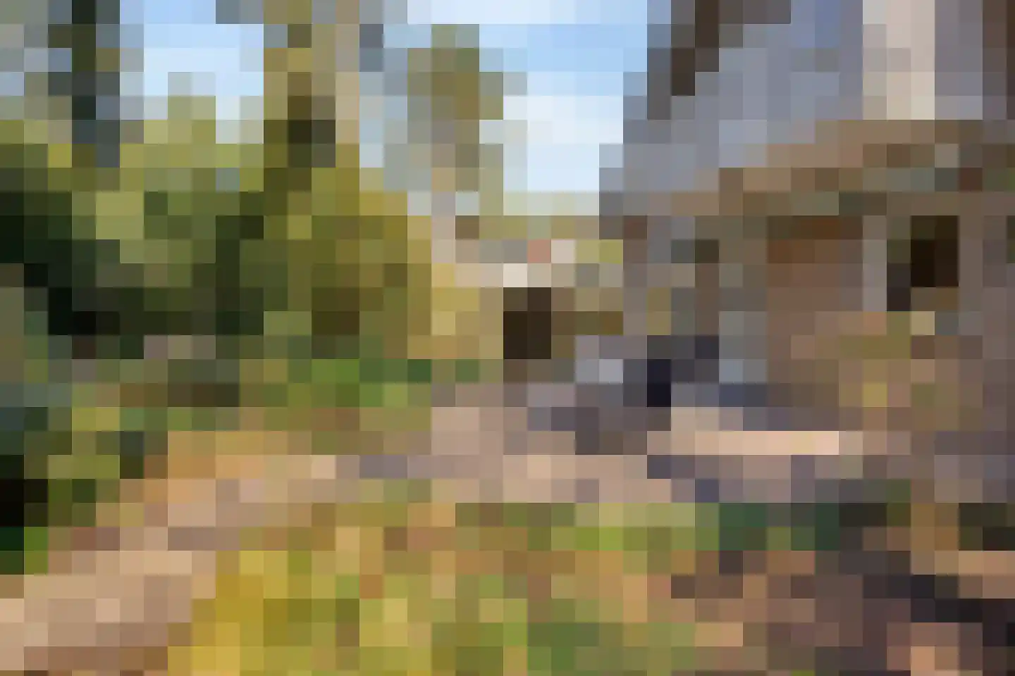 Prins Willem Alexanderlaan 8 't Harde thumbnail 51