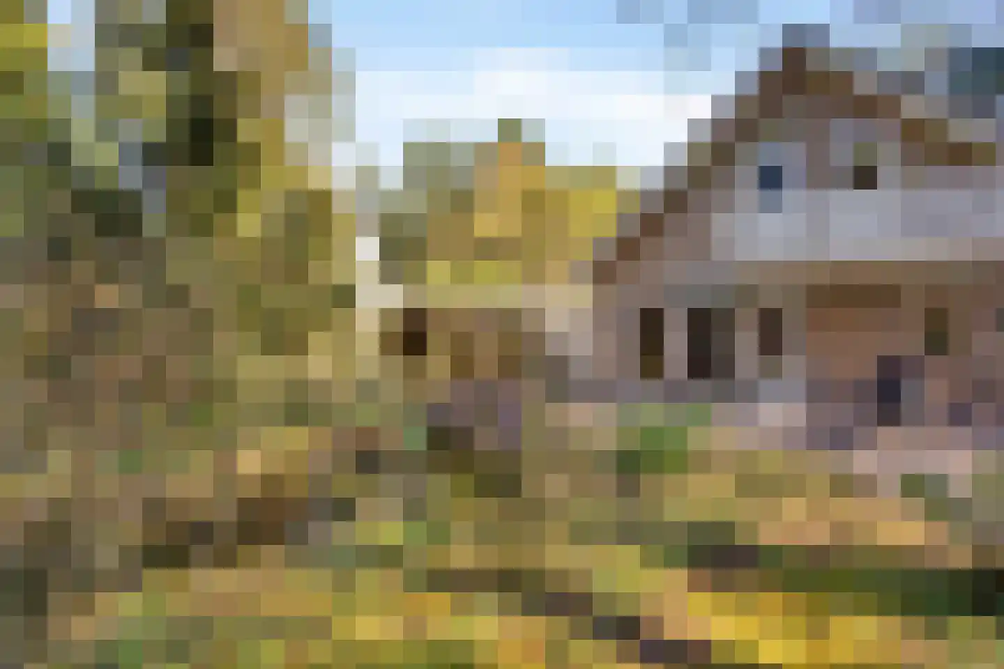 Prins Willem Alexanderlaan 8 't Harde thumbnail 53
