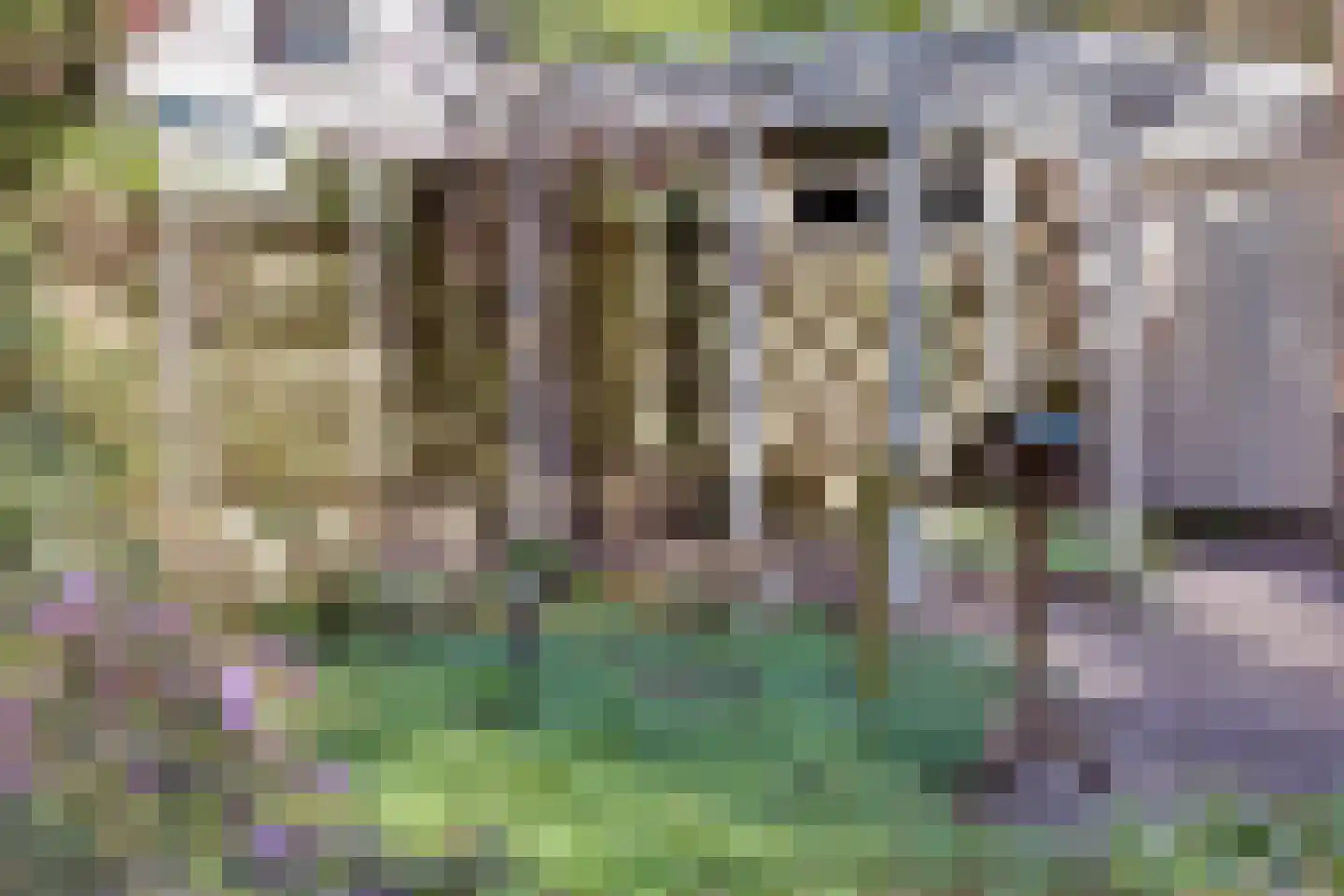 Prins Willem Alexanderlaan 8 't Harde thumbnail 55