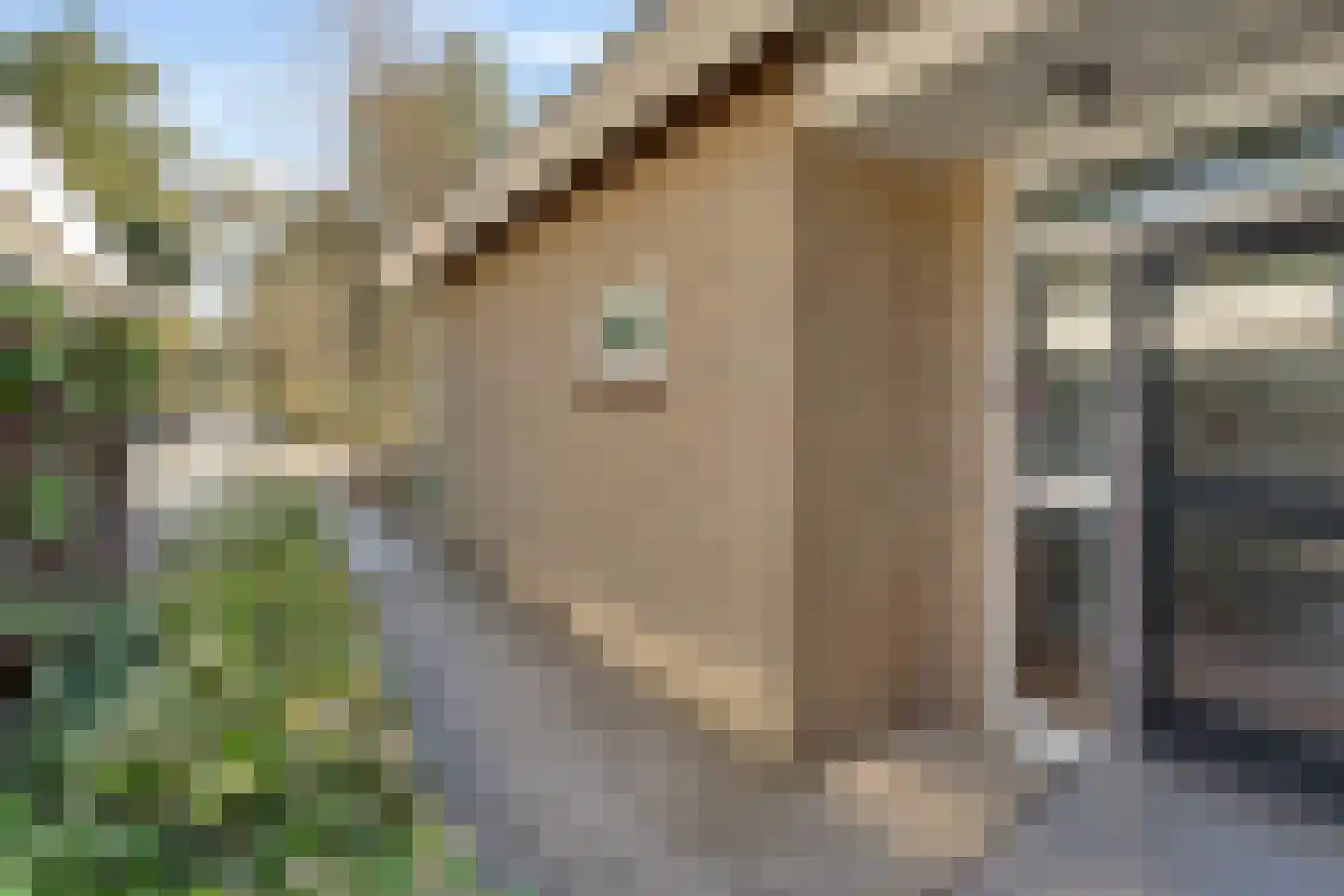 Prins Willem Alexanderlaan 8 't Harde thumbnail 6