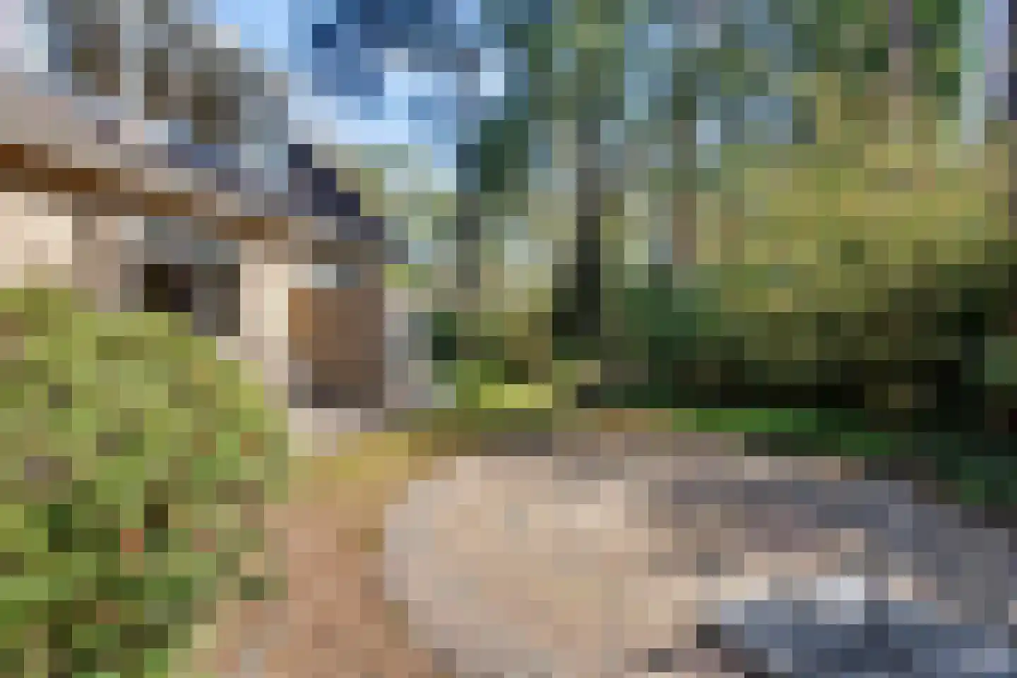 Prins Willem Alexanderlaan 8 't Harde thumbnail 63