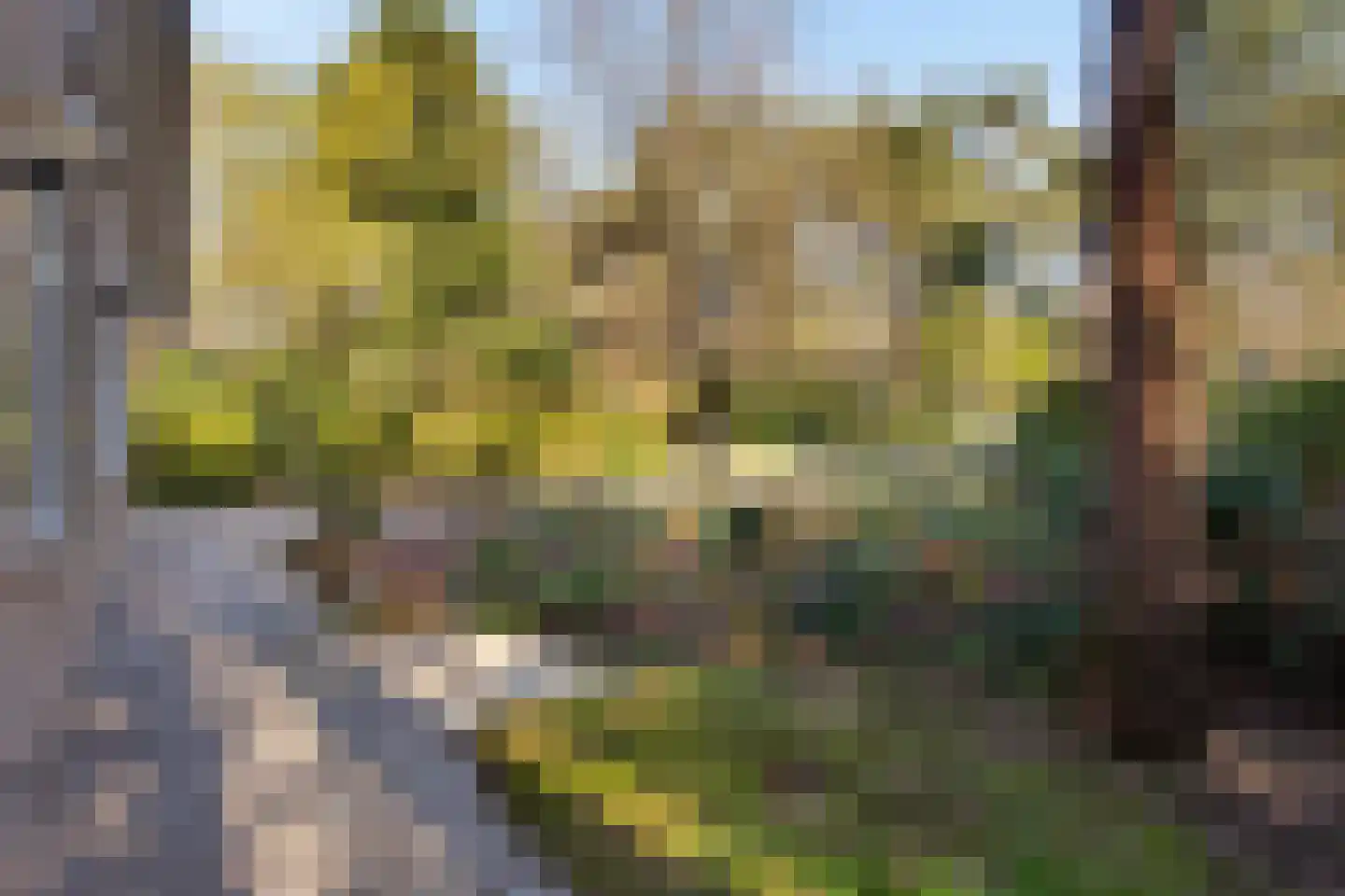 Prins Willem Alexanderlaan 8 't Harde thumbnail 67