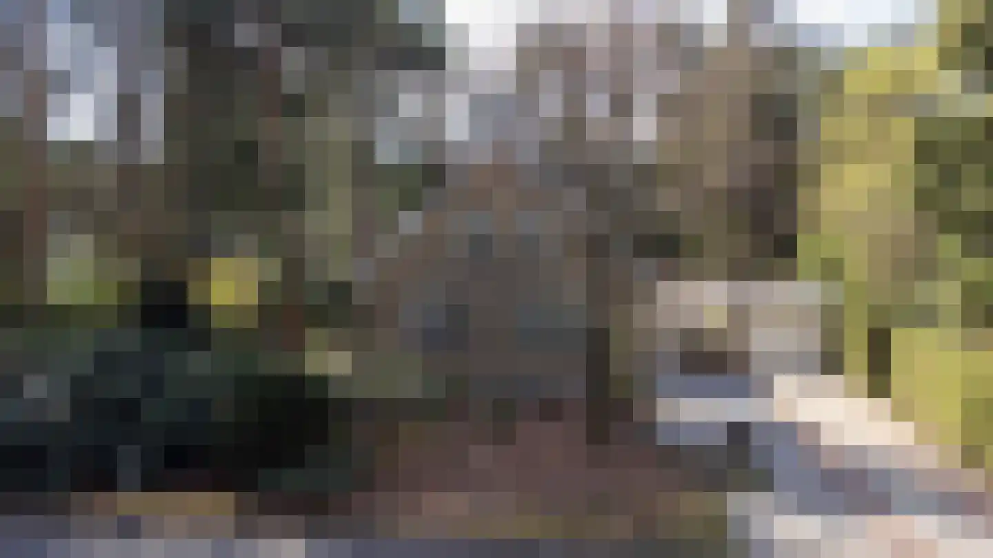 Prins Willem Alexanderlaan 8 't Harde thumbnail 69