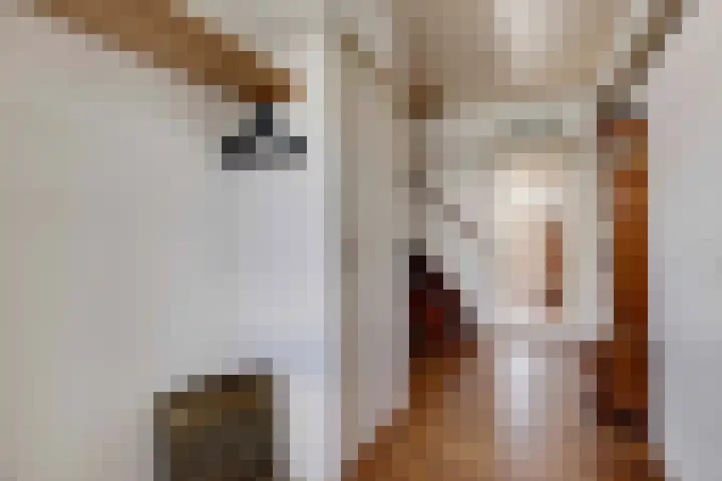 Prins Willem Alexanderlaan 8 't Harde thumbnail 7