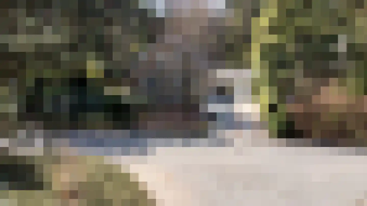 Prins Willem Alexanderlaan 8 't Harde thumbnail 70