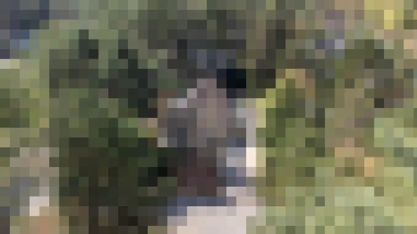 Prins Willem Alexanderlaan 8 't Harde thumbnail 71