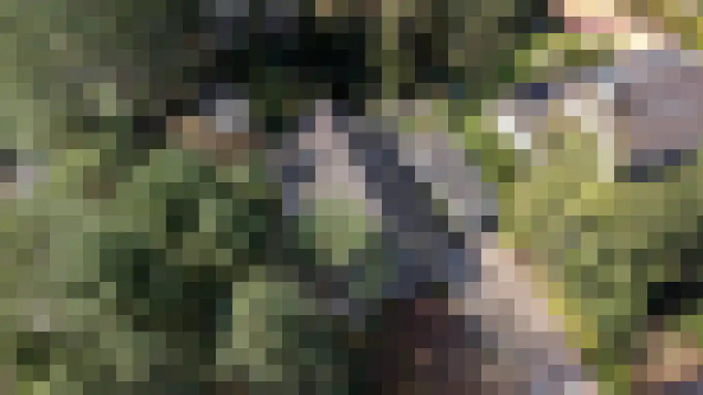 Prins Willem Alexanderlaan 8 't Harde thumbnail 72