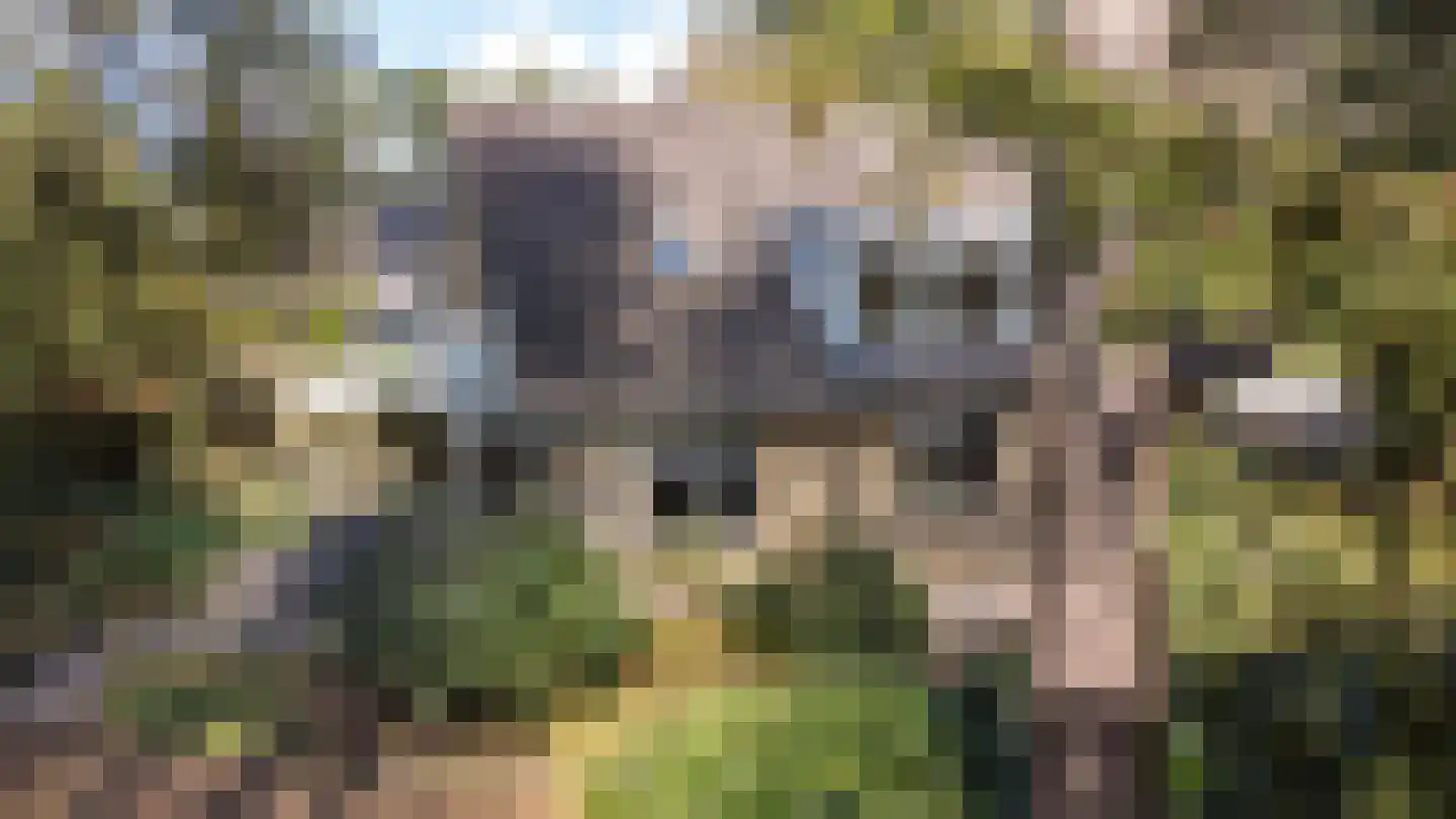 Prins Willem Alexanderlaan 8 't Harde thumbnail 77