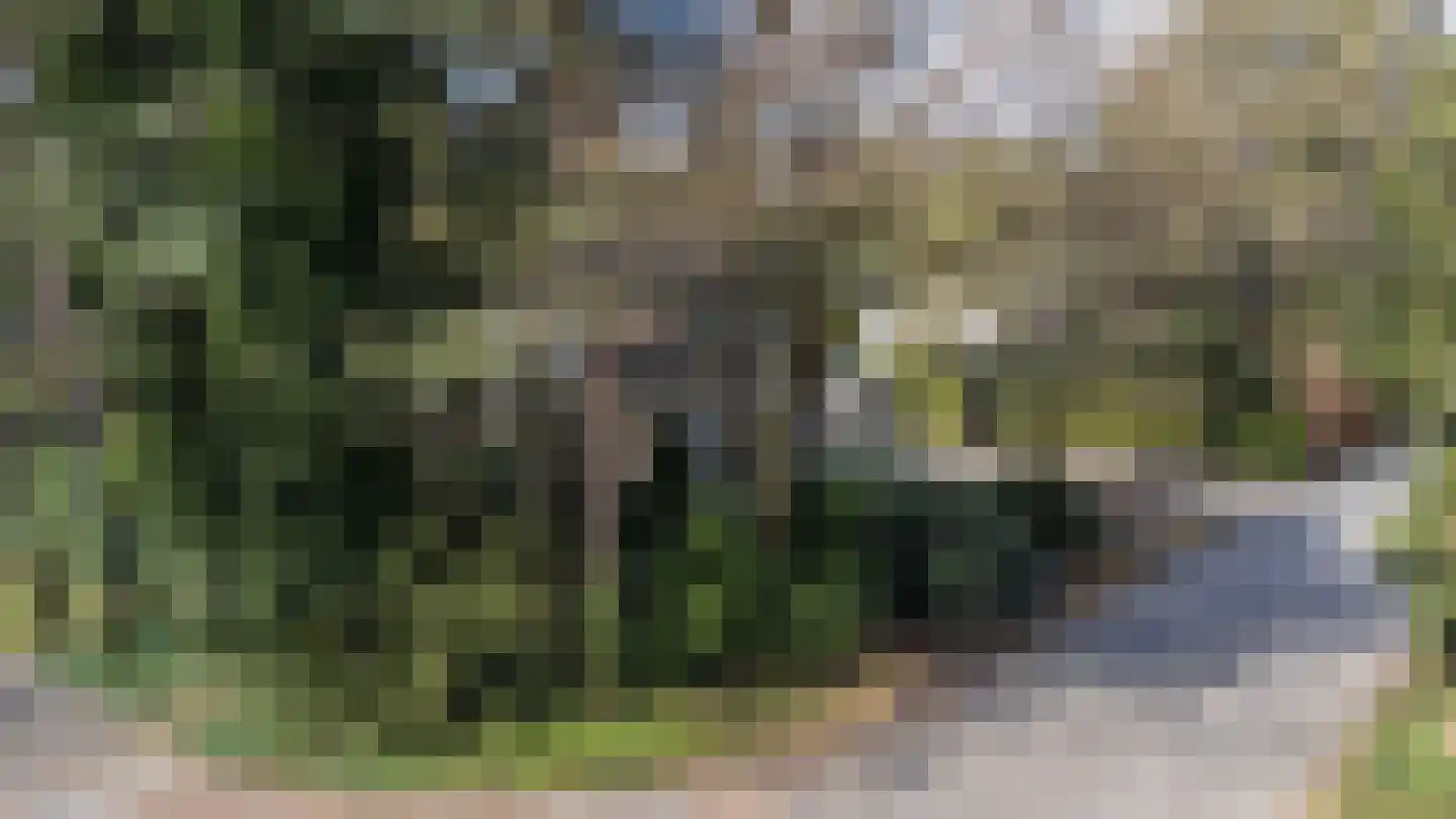 Prins Willem Alexanderlaan 8 't Harde thumbnail 81