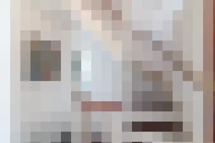 Prins Willem Alexanderln 30 Westmaas thumbnail 10