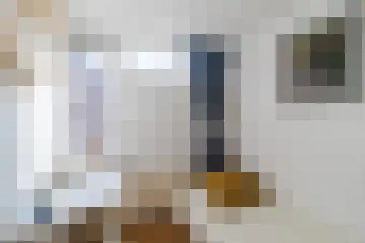 Prins Willem Alexanderln 30 Westmaas thumbnail 13