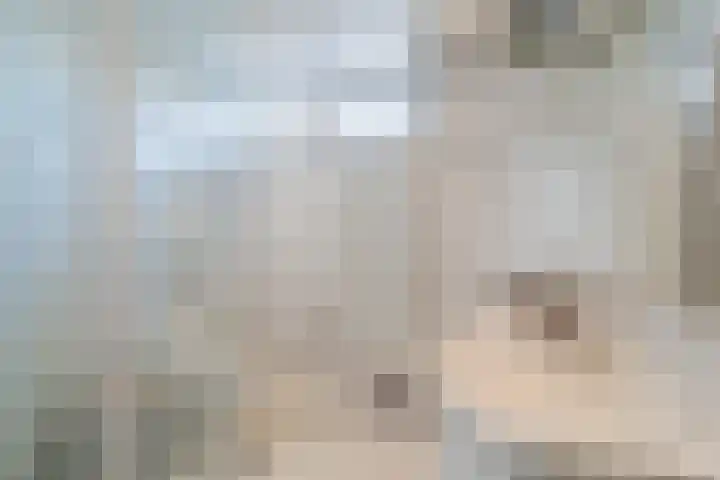 Prins Willem Alexanderln 30 Westmaas thumbnail 15