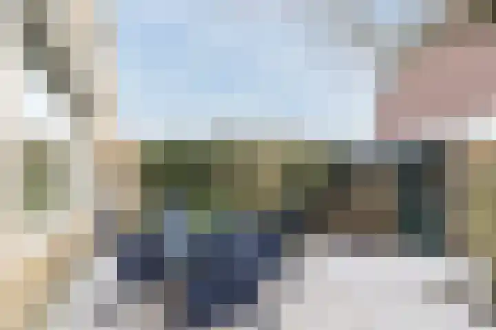 Prins Willem Alexanderln 30 Westmaas thumbnail 25