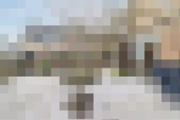 Prins Willem Alexanderln 30 Westmaas thumbnail 26