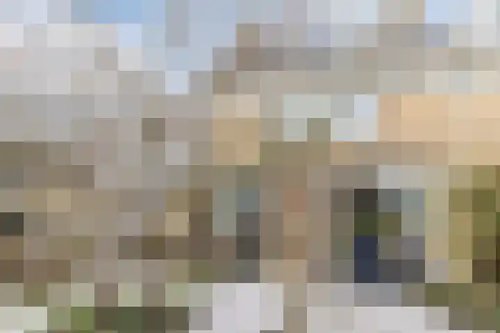 Prins Willem Alexanderln 30 Westmaas thumbnail 27