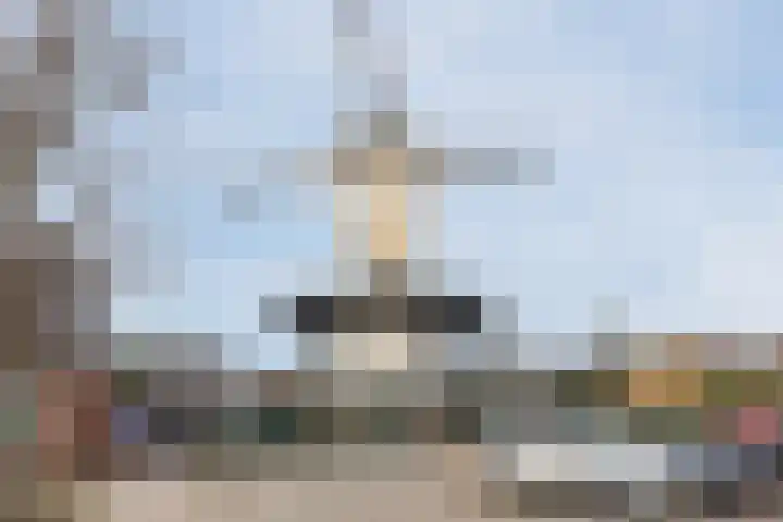 Prins Willem Alexanderln 30 Westmaas thumbnail 29