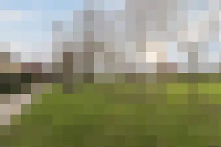 Prins Willem Alexanderln 30 Westmaas thumbnail 31
