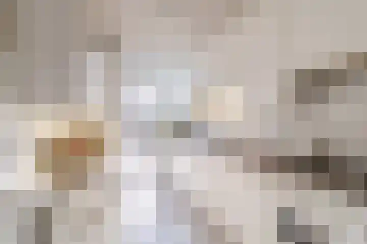 Prins Willem Alexanderln 30 Westmaas thumbnail 7
