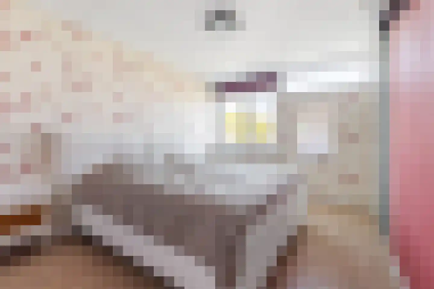 Prins Willem Alexanderln 33 Westmaas thumbnail 14