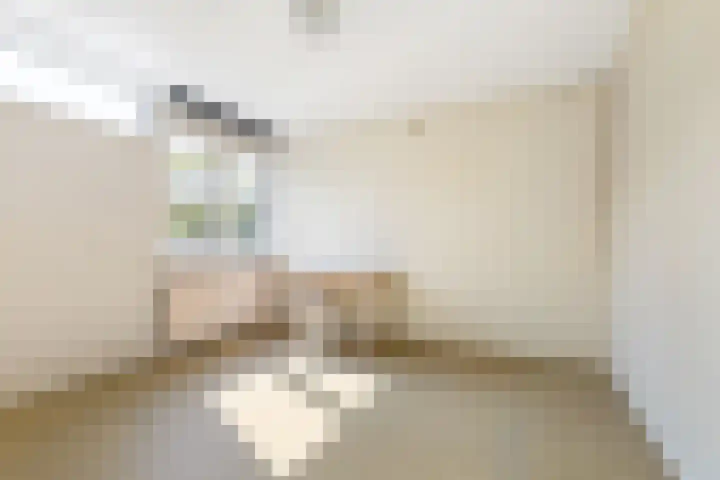 Prins Willem Alexanderln 33 Westmaas thumbnail 15
