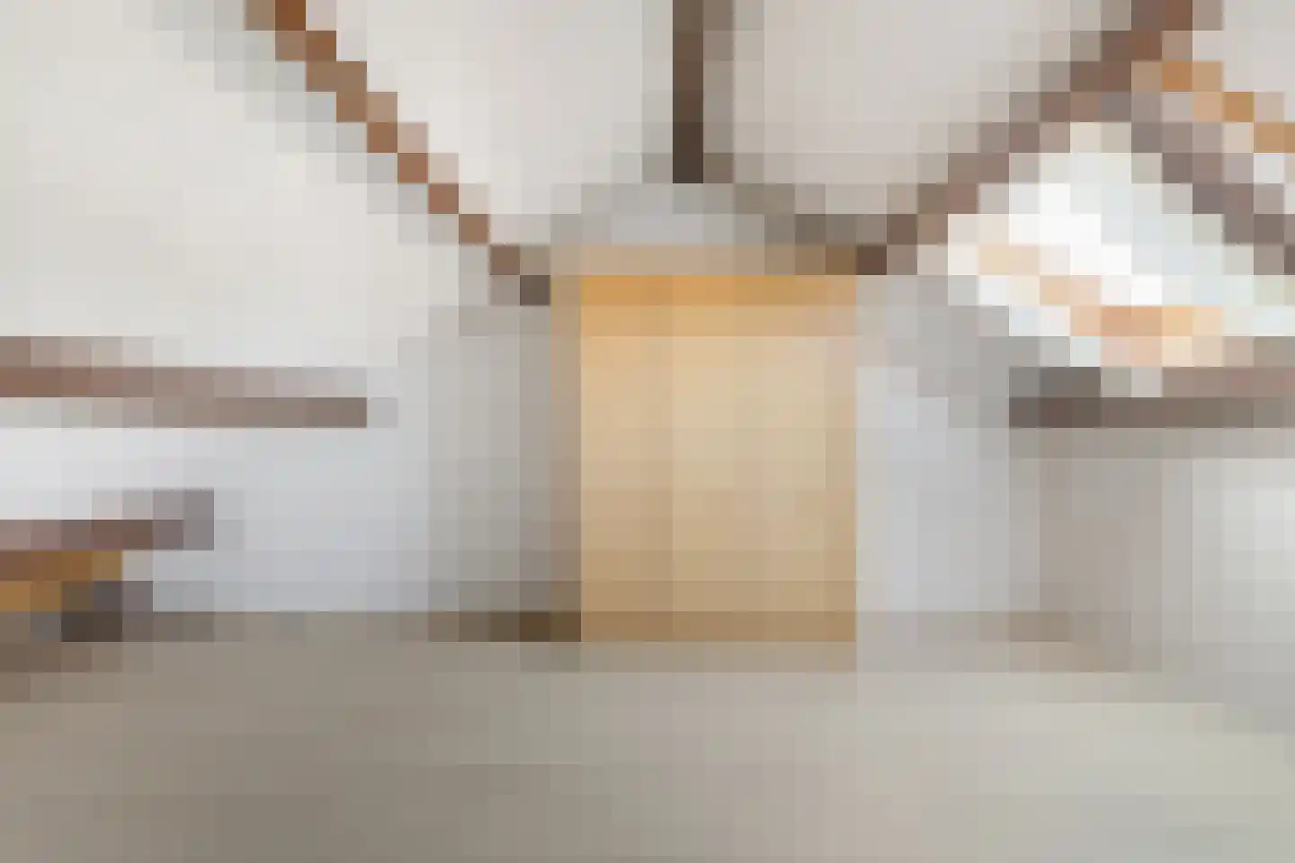 Prins Willem Alexanderln 33 Westmaas thumbnail 23