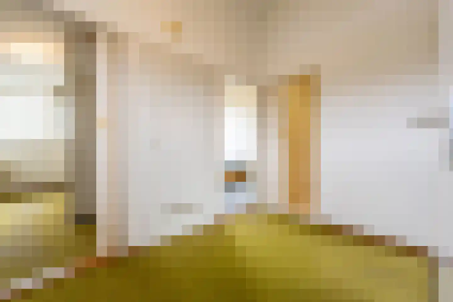 Prins Willem Alexanderln 44 Westmaas thumbnail 14