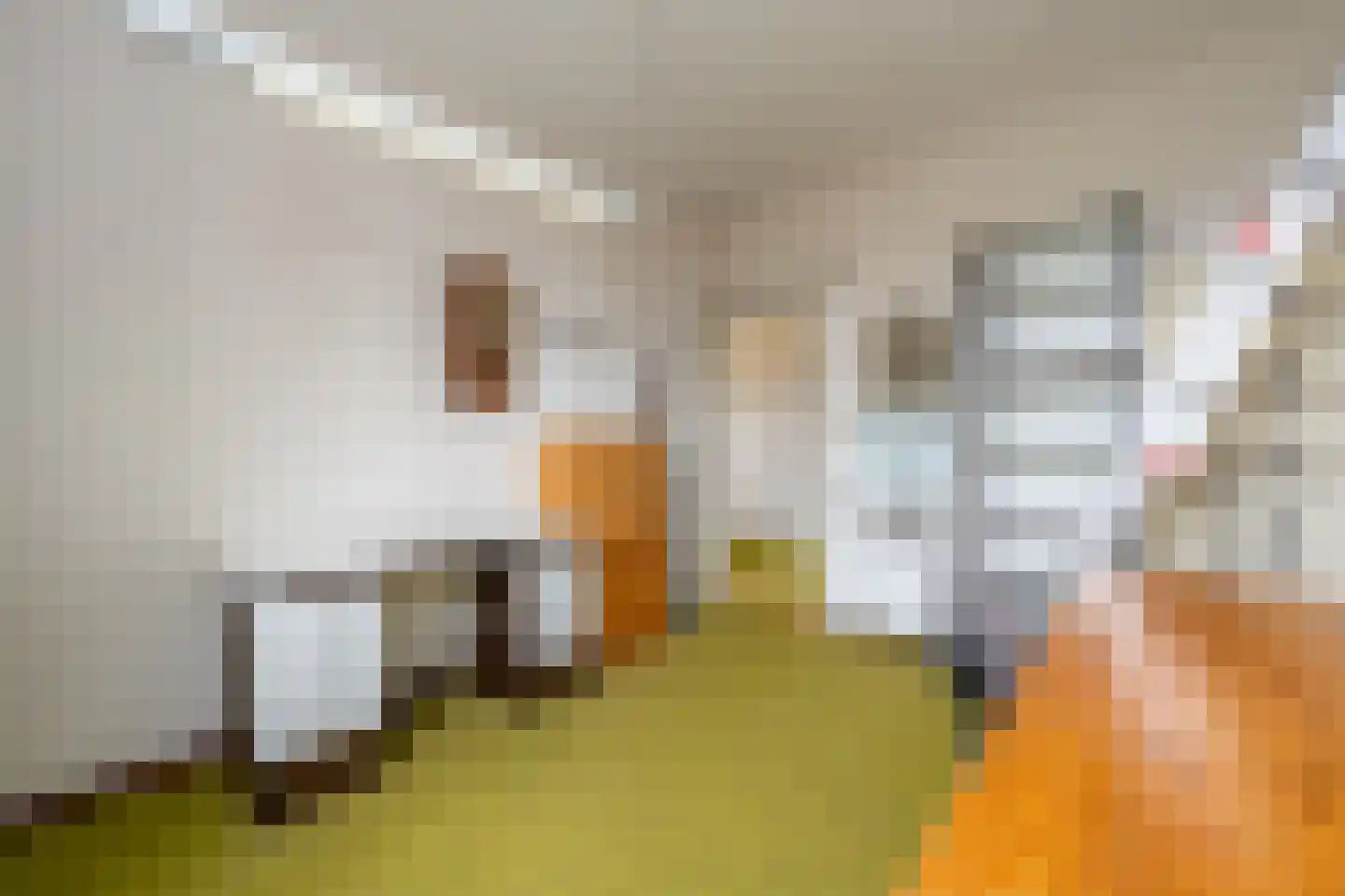 Prins Willem Alexanderln 44 Westmaas thumbnail 19