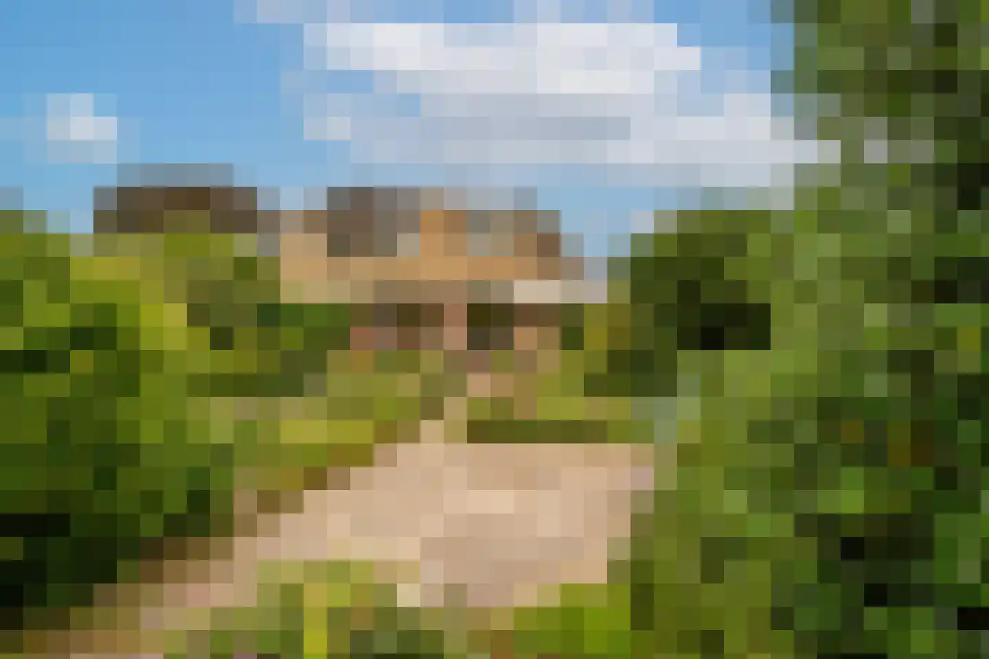 Prins Willem Alexanderln 44 Westmaas thumbnail 28