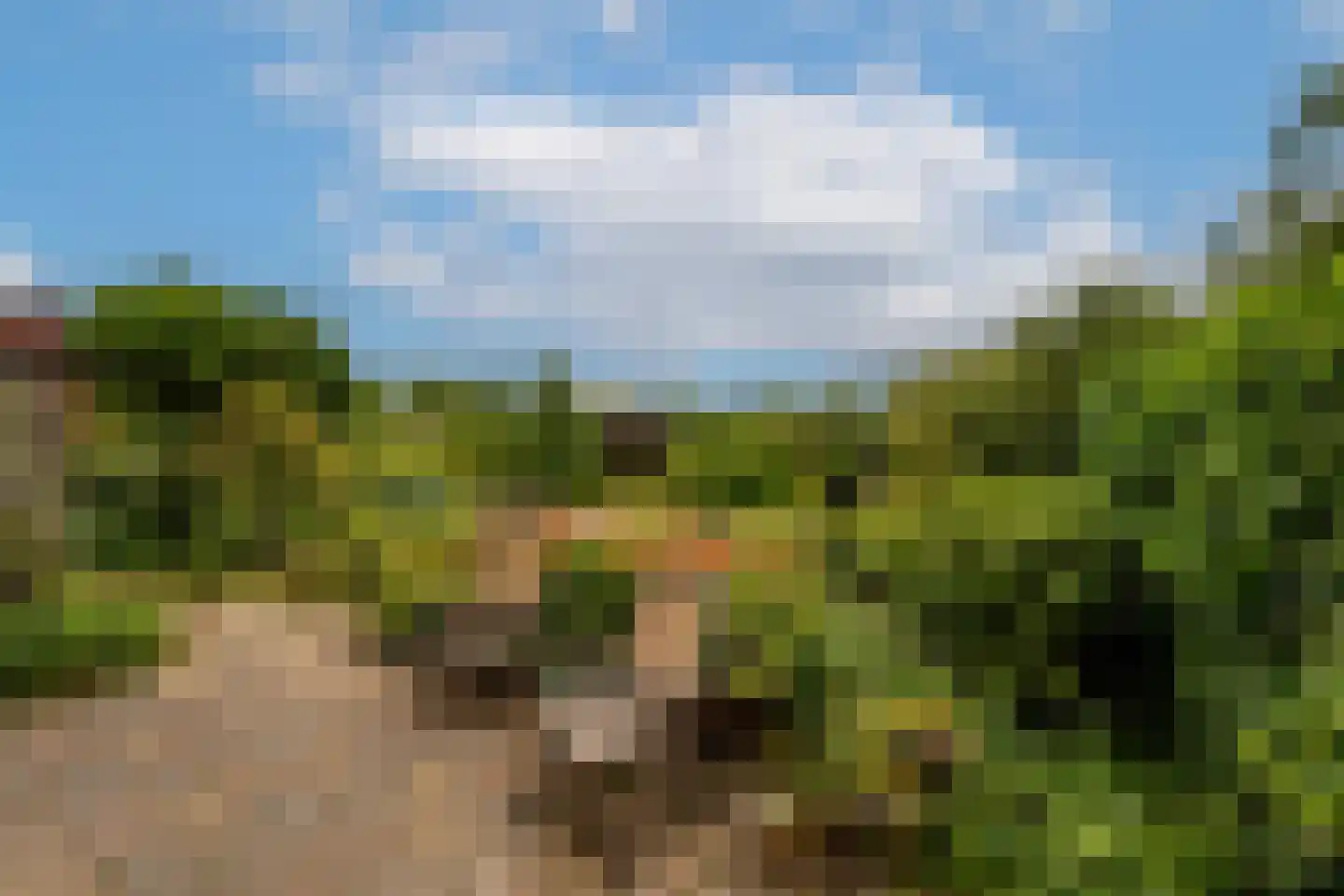 Prins Willem Alexanderln 44 Westmaas thumbnail 31