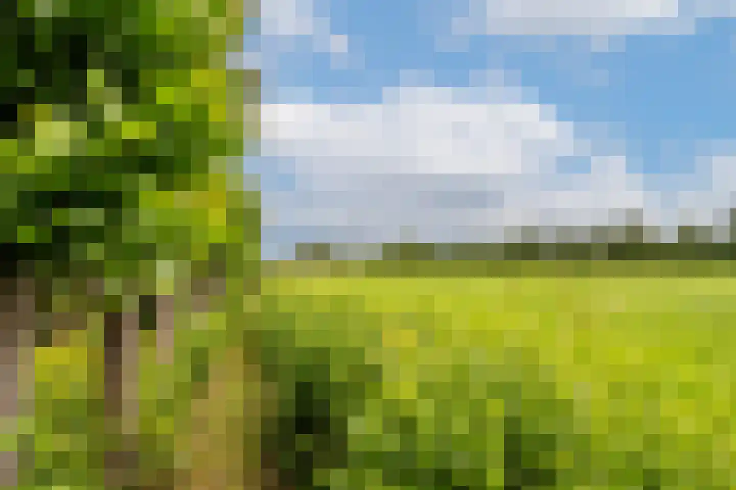 Prins Willem Alexanderln 44 Westmaas thumbnail 33