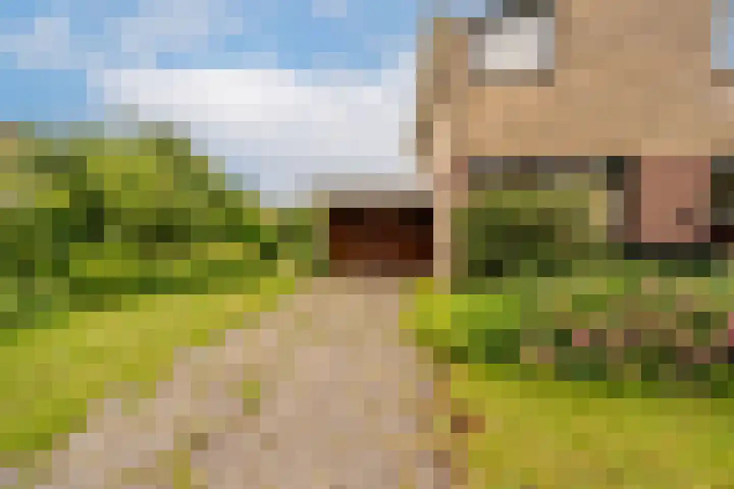Prins Willem Alexanderln 44 Westmaas thumbnail 35
