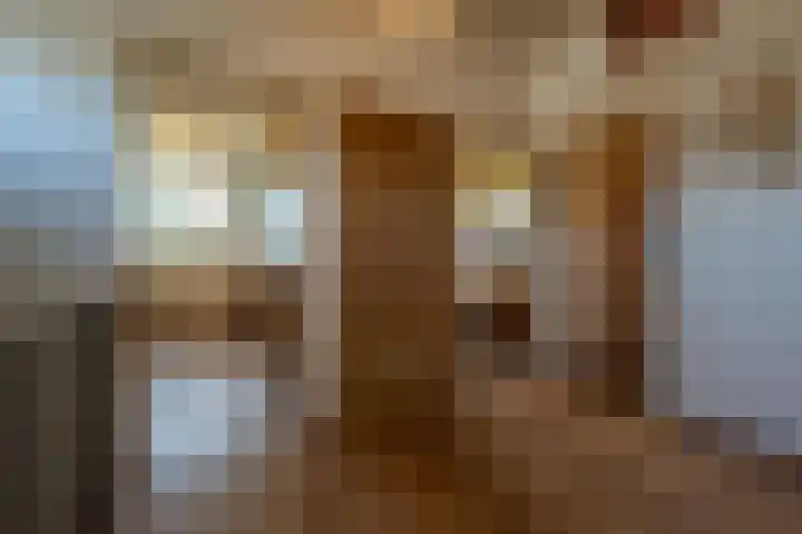 Prins Willem Alexanderln 48 Westmaas thumbnail 16