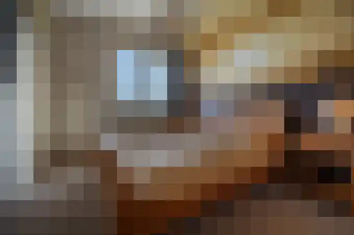 Prins Willem Alexanderln 48 Westmaas thumbnail 19